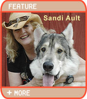 A wild Adventure - An Interview With Sandi Ault