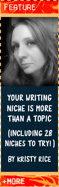 Your niche is more than a writing topic