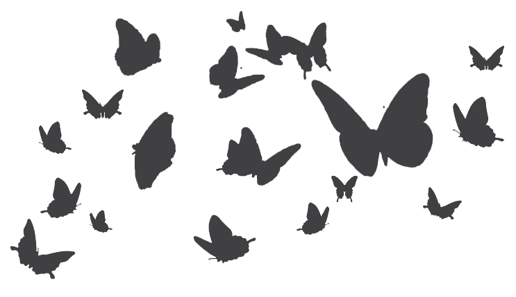 butterfly divider