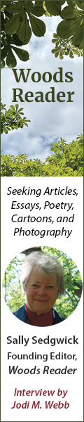 On Submission with Woods Reader, founding editor Sally Sedgewick