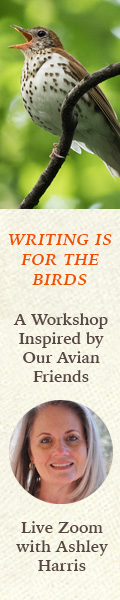 Writing is for the Birds: Live Zoom Workshop Inspired by Our Avian Friends with Ashley Harris