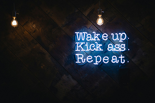 Intrinsic Motivation Principles