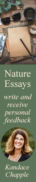 Nature Essays - write and receive feedback