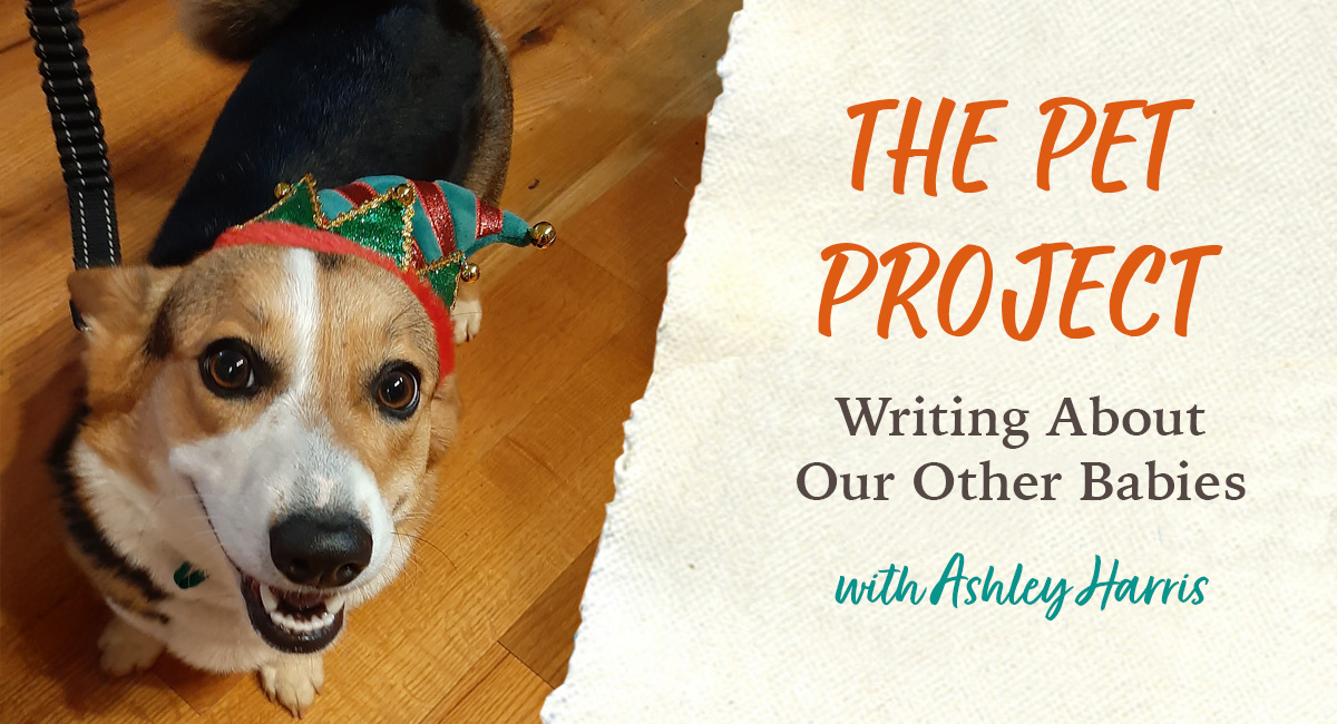 The Pet Project: Writing About Our Babies - Live Zoom with Ashley Harris